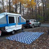 Review photo of Newport News Park Campground by Leah L., November 25, 2021