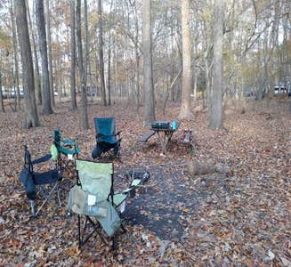 Camper-submitted photo from Newport News Park Campground