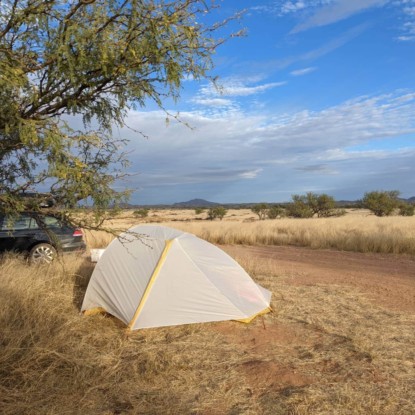 Camper submitted image from Cieneguita Dispersed Camping Area - Las Cienegas National Conservation Area - 3