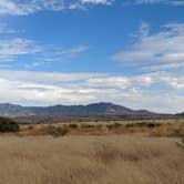 Review photo of Cieneguita Dispersed Camping Area - Las Cienegas National Conservation Area by Becbecandbunny O., November 25, 2021