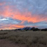 Review photo of Cieneguita Dispersed Camping Area - Las Cienegas National Conservation Area by Becbecandbunny O., November 25, 2021