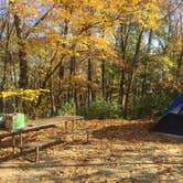 Review photo of Mauthe Lake Campground — Kettle Moraine State Forest-Northern Unit-Iansr by Jennifer S., July 7, 2018