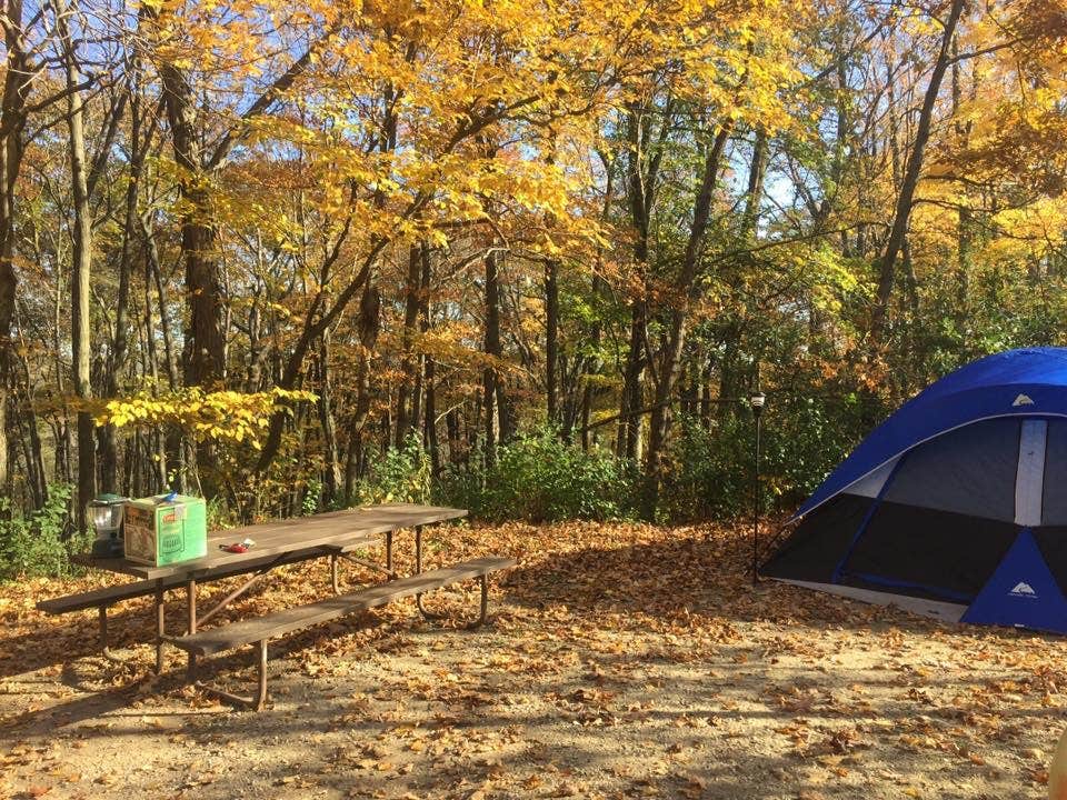 Mauthe Lake Kettle Moraine SF Camping The Dyrt