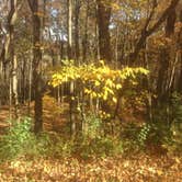 Review photo of Mauthe Lake Campground — Kettle Moraine State Forest-Northern Unit-Iansr by Jennifer S., July 7, 2018