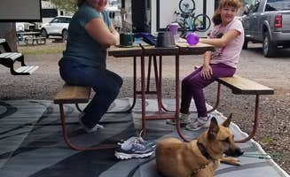 Jeffrey P.'s photo of camping with pets at Williams-Circle Pines KOA near Kaibab National Forest