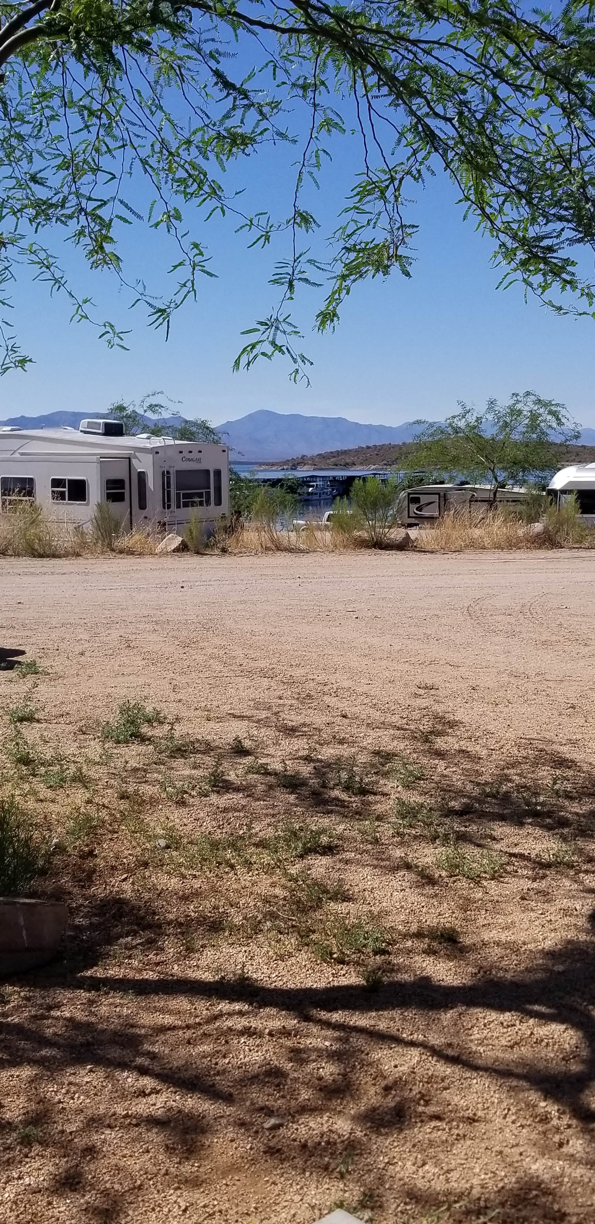 Camper submitted image from Roosevelt Lake Marina - 1