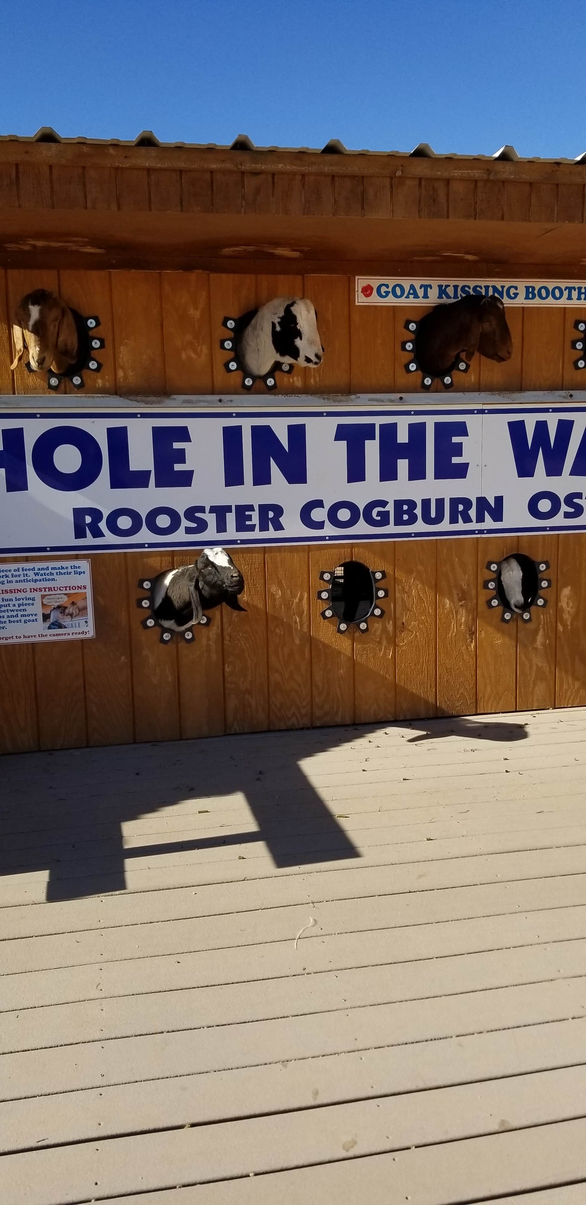 Camper-submitted photo at Picacho-Tucson NW KOA near Marana, AZ