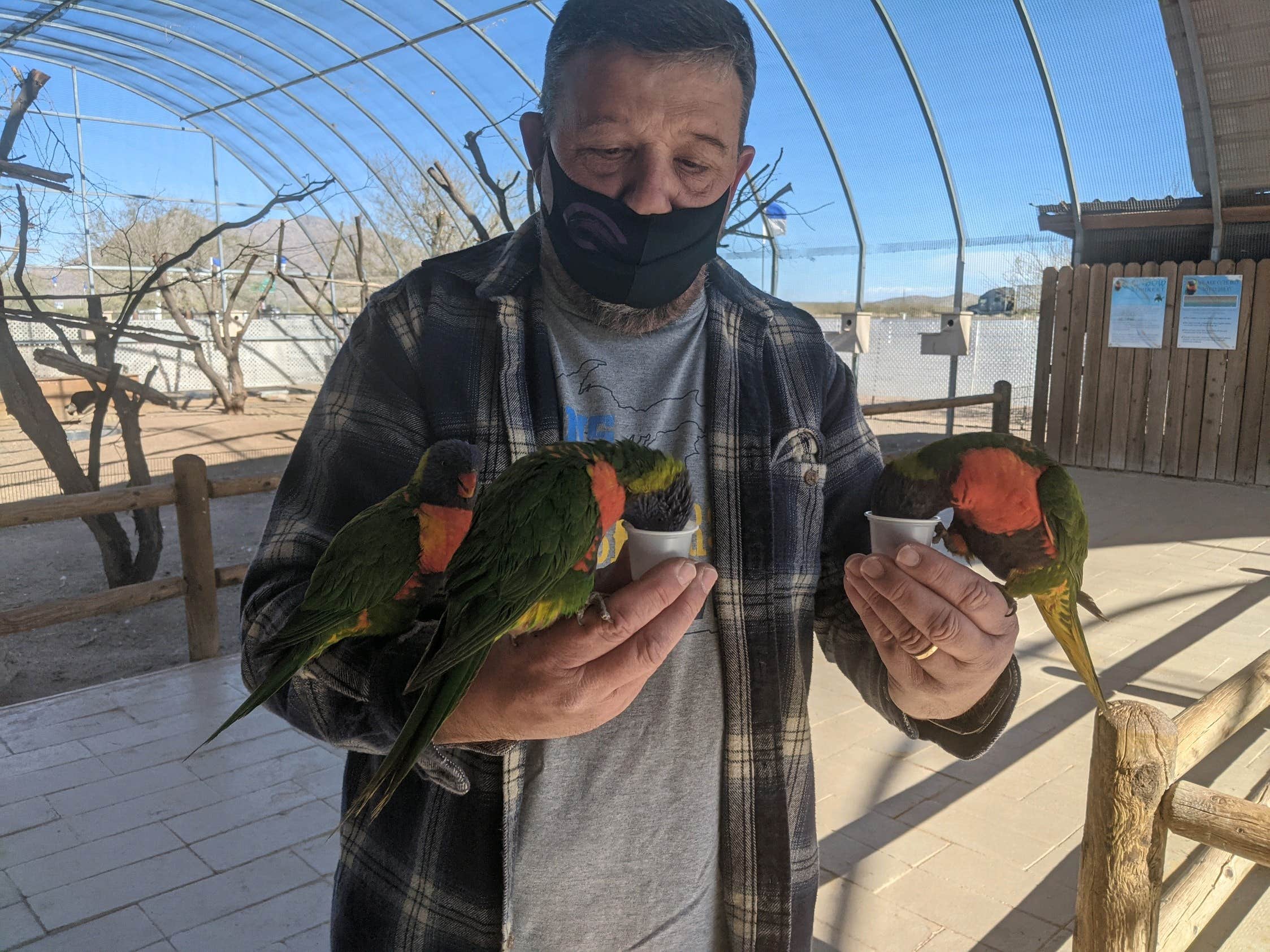 Camper-submitted photo at Picacho-Tucson NW KOA near Marana, AZ