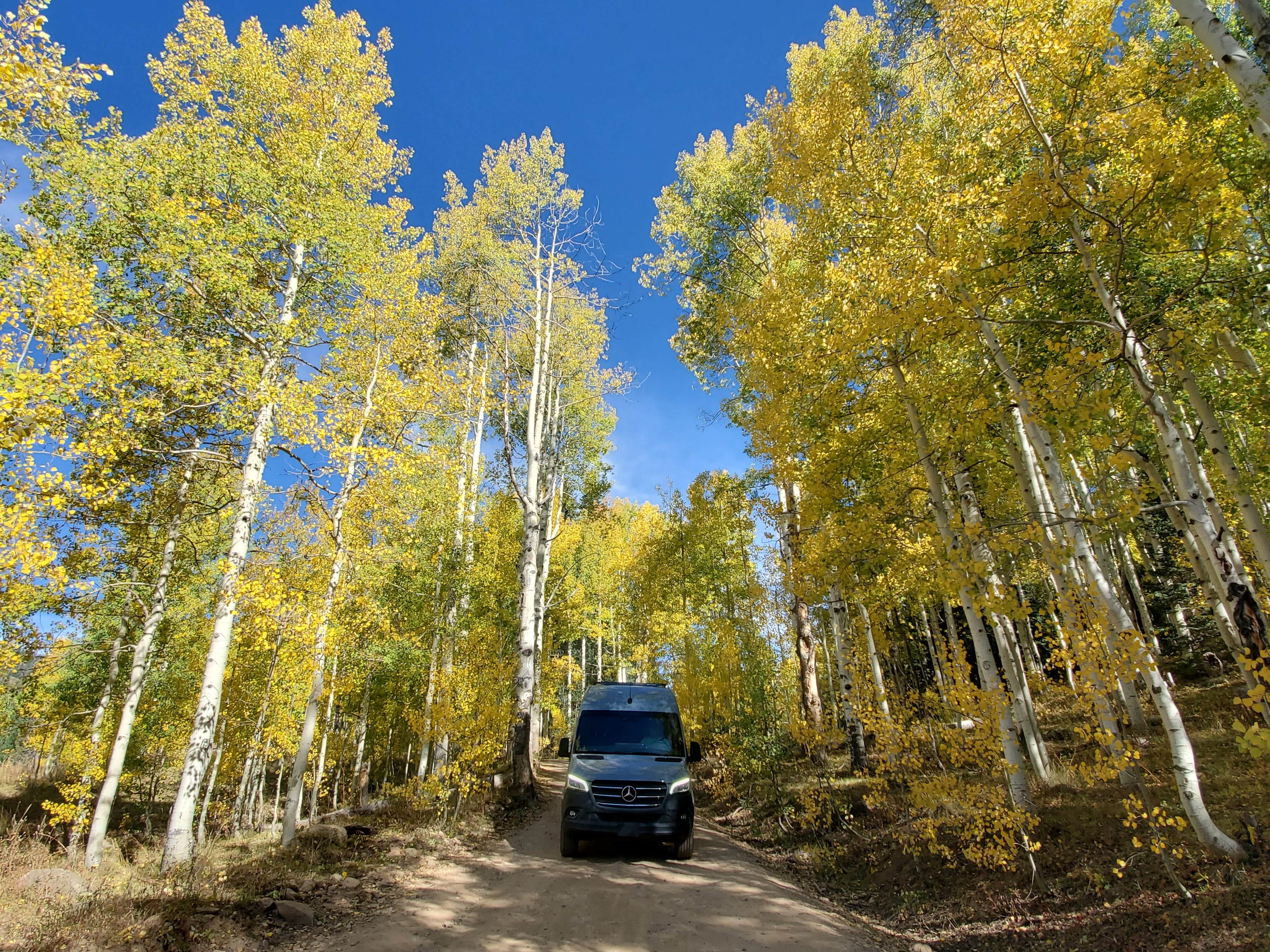 Camper submitted image from Washington Gulch Dispersed 2 - 2