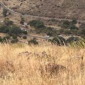 Review photo of Davis Mountains State Park by ROBERT J., November 26, 2021