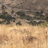 Review photo of Davis Mountains State Park Campground by ROBERT J., November 26, 2021