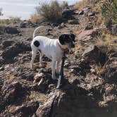 Review photo of Davis Mountains State Park Campground by ROBERT J., November 26, 2021