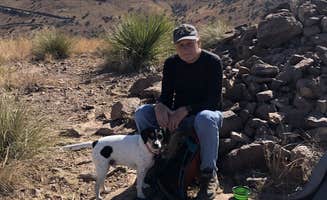 ROBERT J.'s photo of camping with pets at Davis Mountains State Park Campground near Balmorhea, TX
