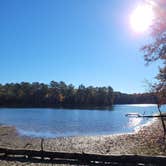 Review photo of Dreher Island State Park Campground by Jessica M., November 26, 2021