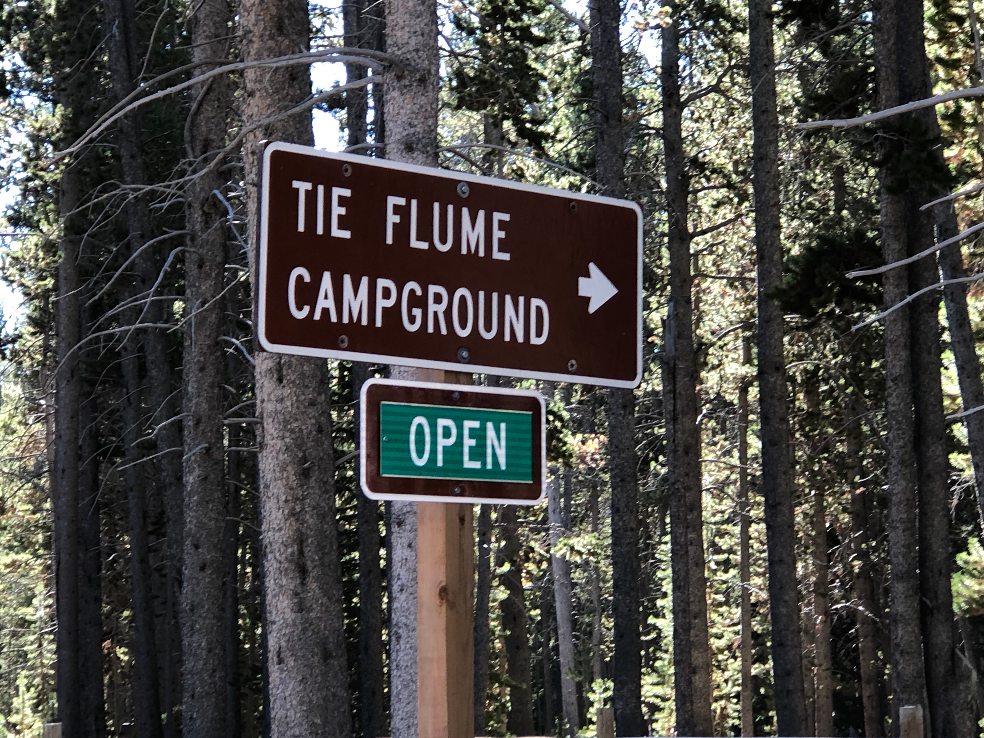 Camper submitted image from Bighorn National Forest Tie Flume Campground - 5