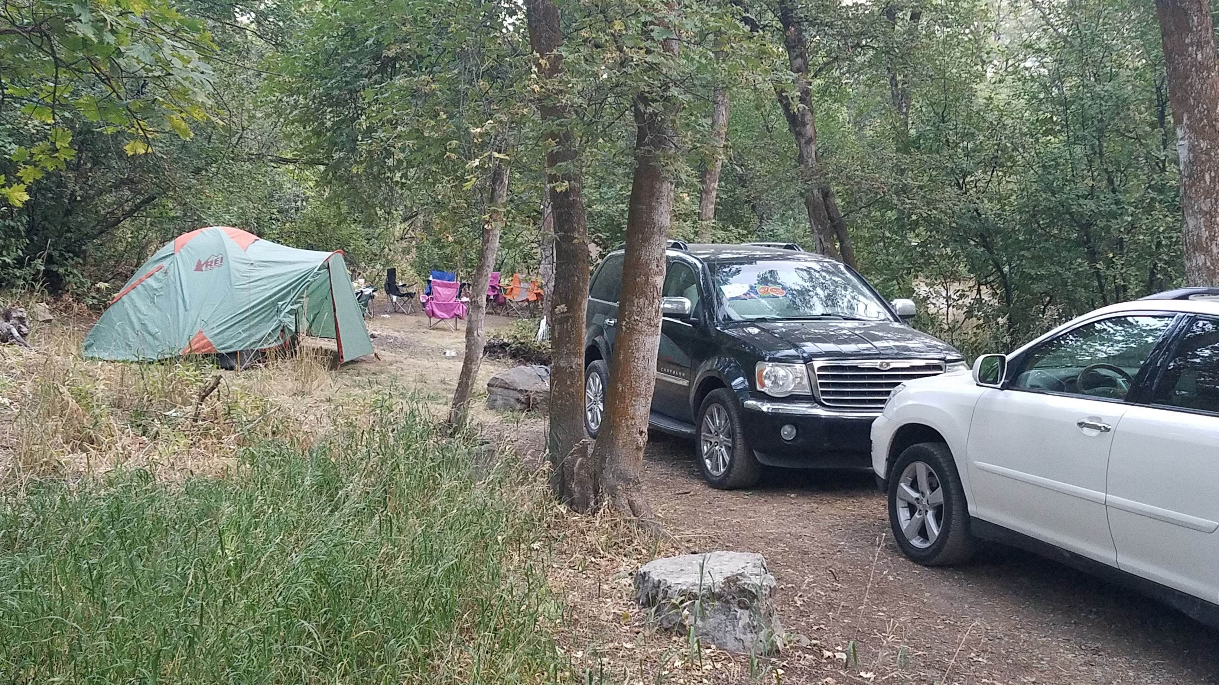 Camper submitted image from Uinta National Forest Hope Campground - 1