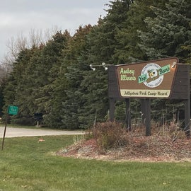 Follow your GPS to arrive east of Amboy, here at O'Connell's Yogi Bear's Camp Resort