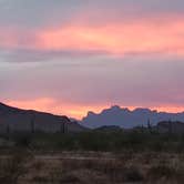 Review photo of Saddle Mountain BLM (Tonopah, AZ) by Betty Z., November 26, 2021