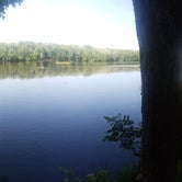Review photo of Wild River State Park Campground by Katie E., July 7, 2018