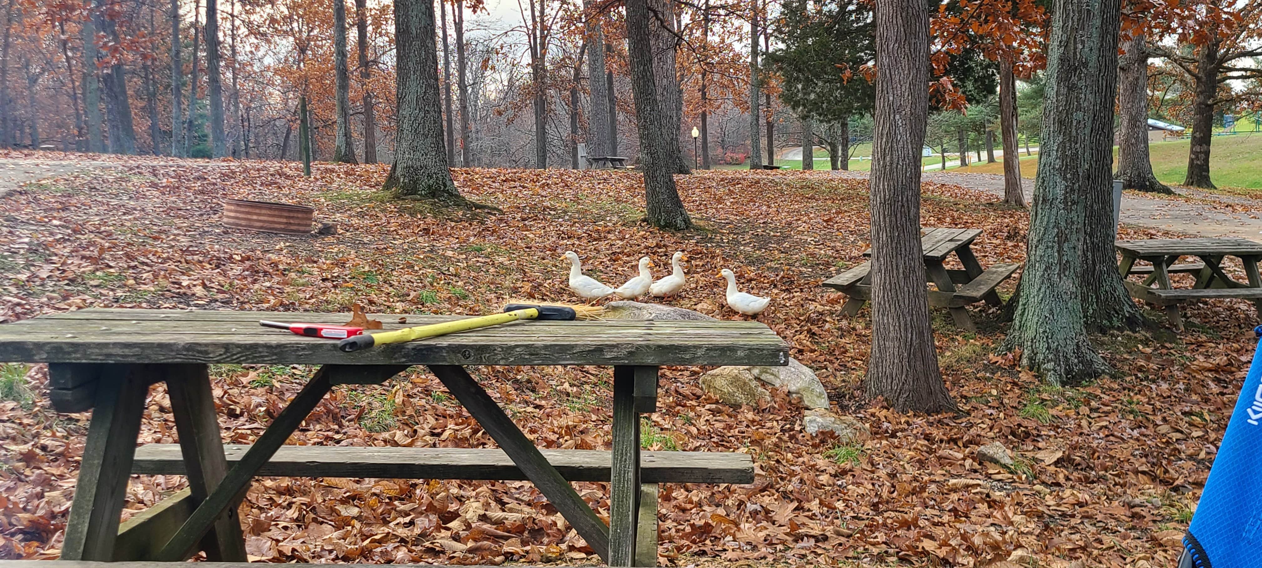 Camper-submitted photo at Buffalo Trace Park near Hoosier National Forest