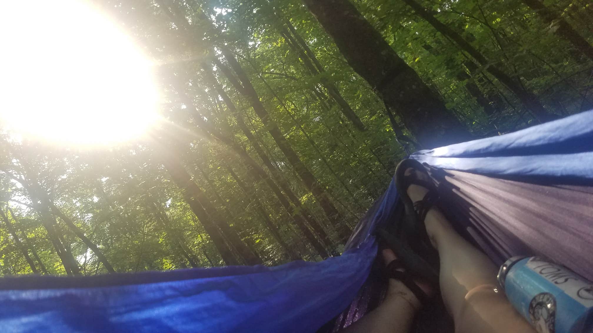 Katie E.'s photo at Wild River State Park Campground near Saint Croix National Scenic River