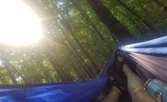 Katie E.'s photo at Wild River State Park Campground near Frederic, WI