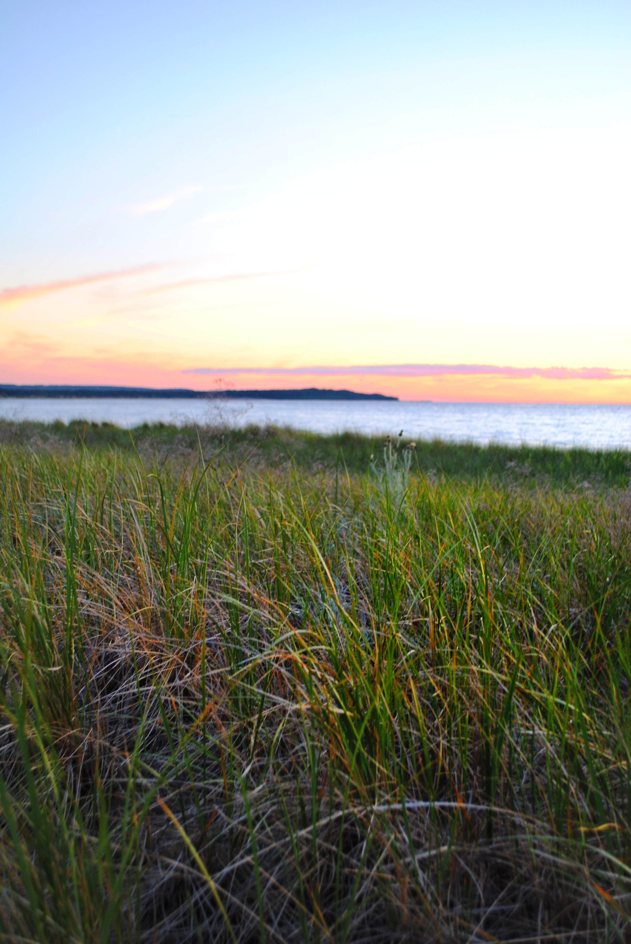 Camper submitted image from White Pine Canoe SF Campground - 2
