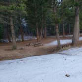 Review photo of Racetrack Campground by Dexter I., November 26, 2021