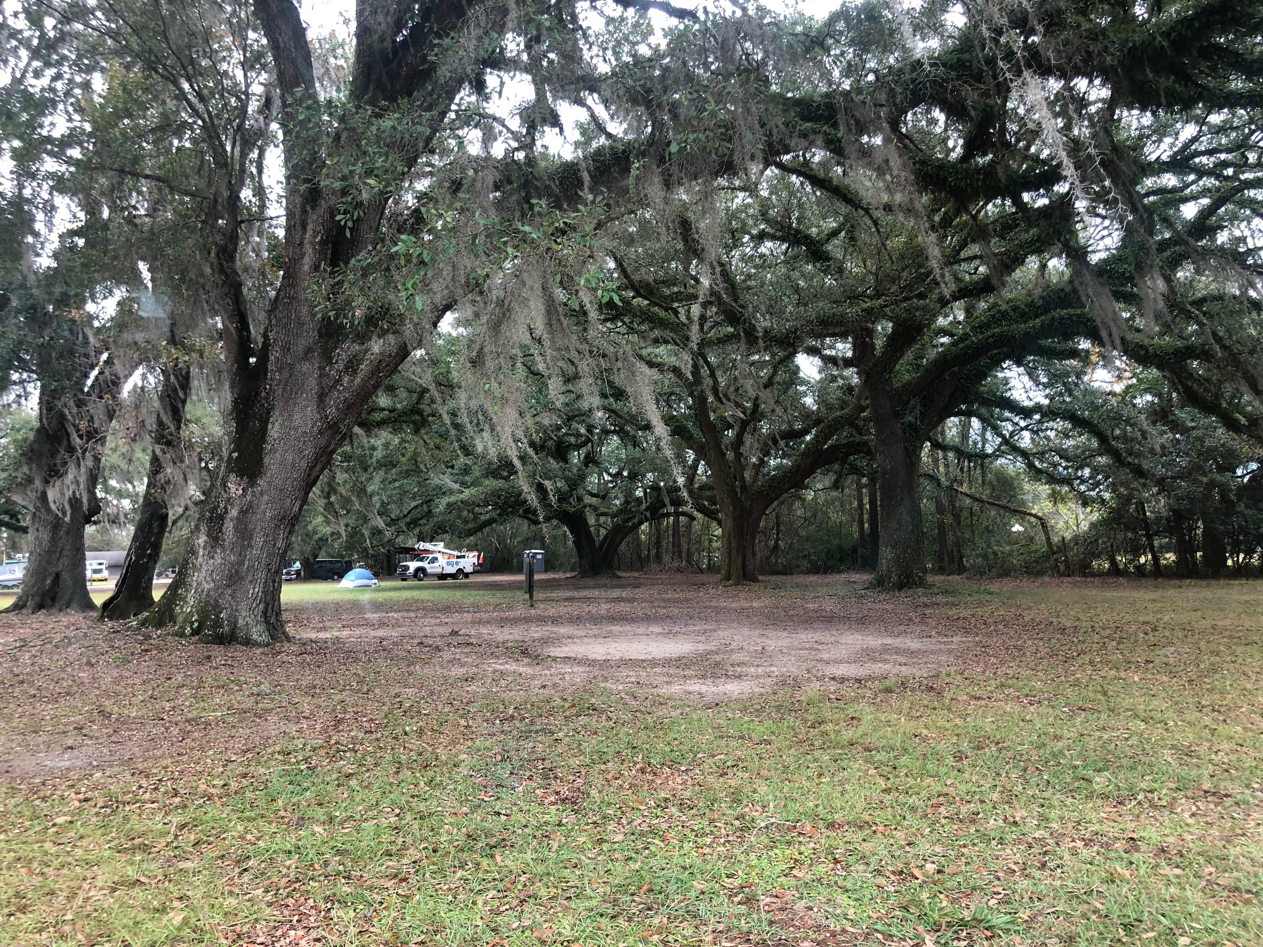 Camper-submitted photo at Pearl River WMA - Crawford Landing near Pearl River, LA