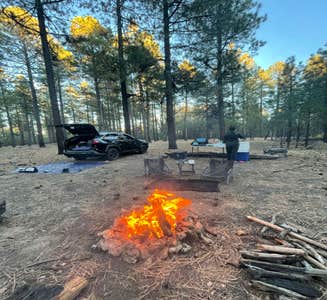 Camper-submitted photo from Pine Dispersed