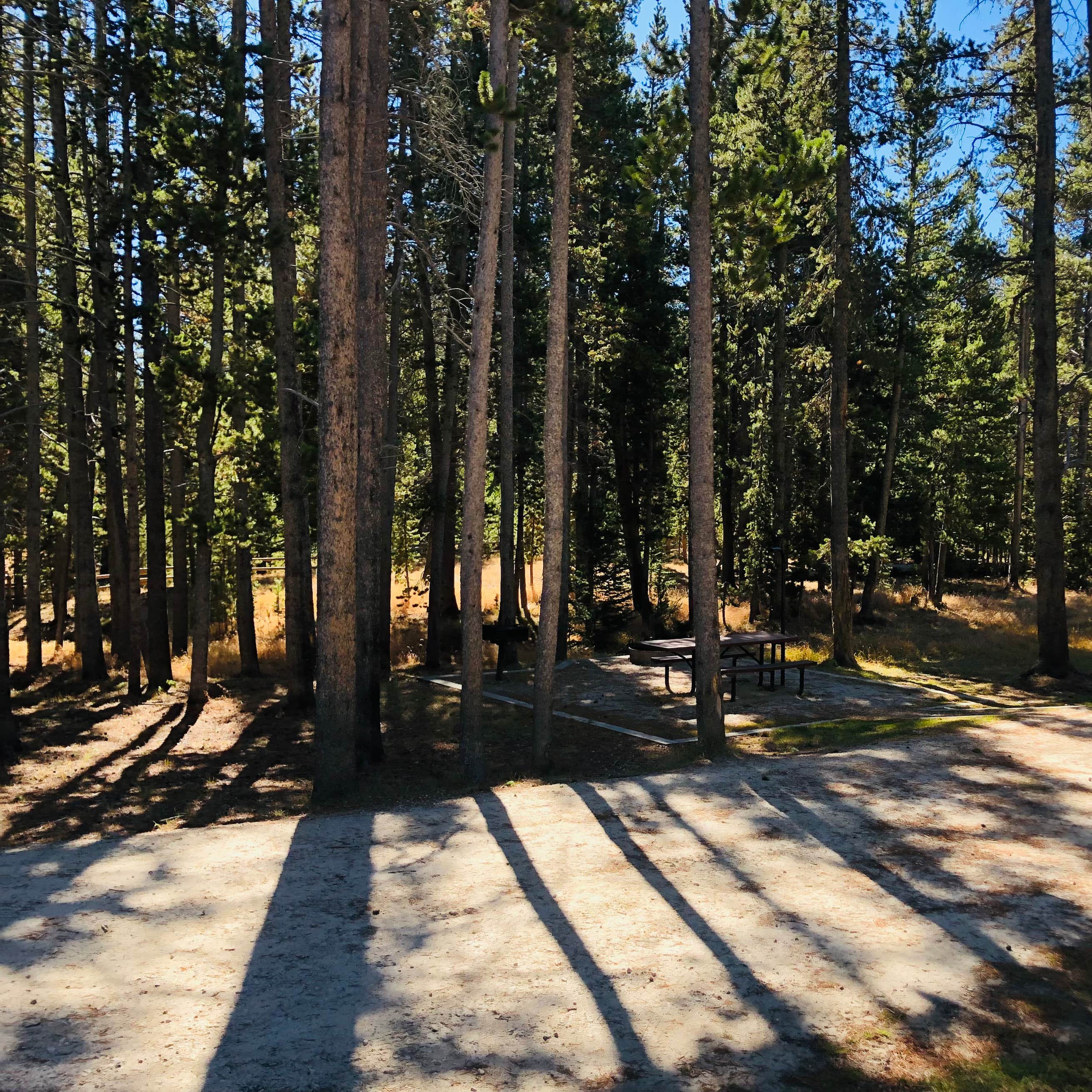 Bighorn National Forest Tie Flume Campground Camping The Dyrt