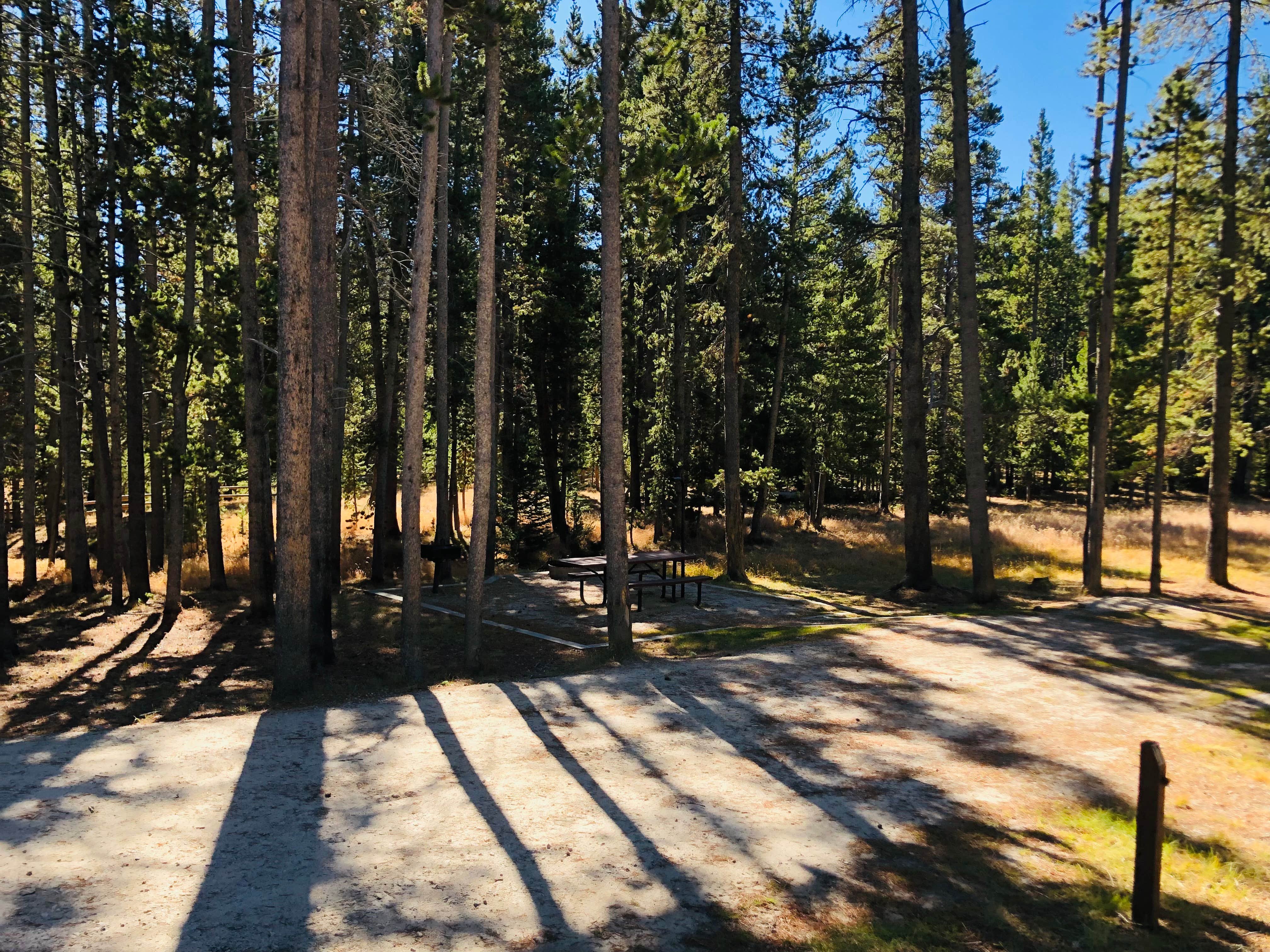 Camper submitted image from Bighorn National Forest Tie Flume Campground - 2