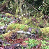 Review photo of Burlington-Anacortes KOA by L S., July 7, 2018