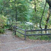 Review photo of Samuel P. Taylor State Park Campground by Lloyd G., November 26, 2021