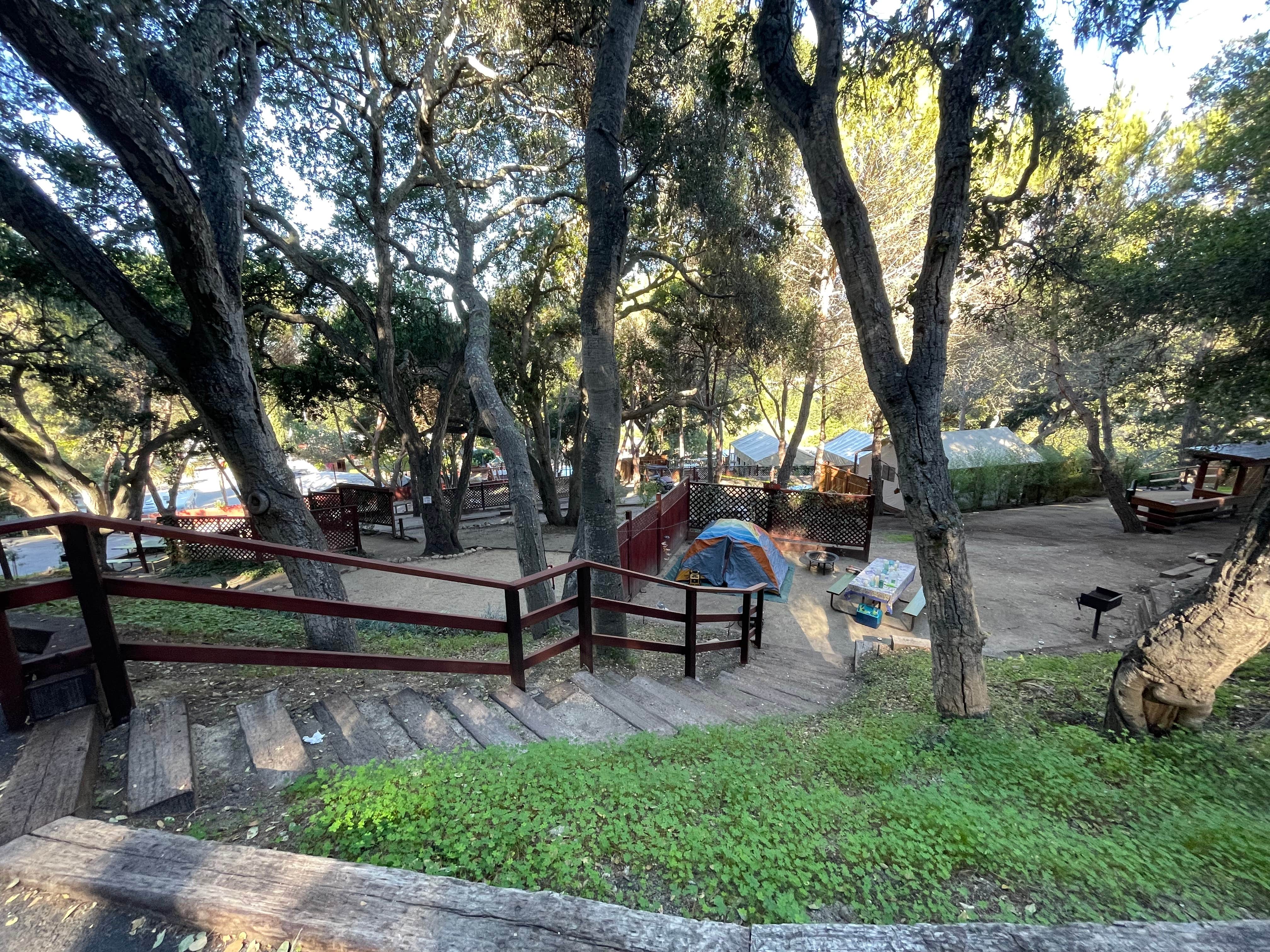 Craig N.'s photo at Saddle Mountain near Pebble Beach, CA