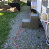 Review photo of Burlington-Anacortes KOA by L S., July 7, 2018