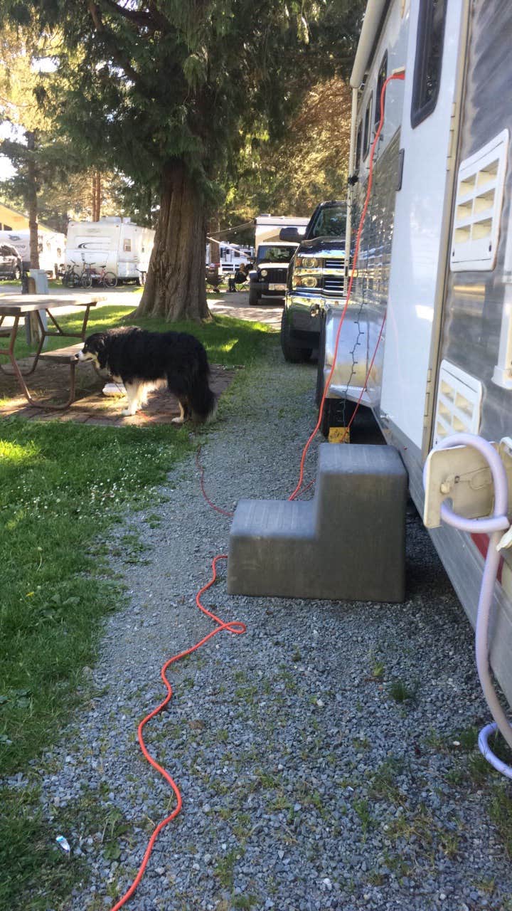 Camper submitted image from Burlington-Anacortes KOA - 2