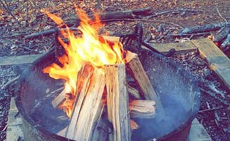 Teresa K.'s photo at Smith Mountain Lake State Park Campground near Vinton, VA