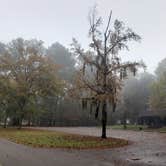 Review photo of Gunter Hill by Jovee S., November 26, 2021