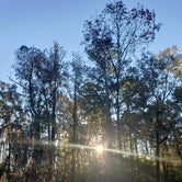 Review photo of Gunter Hill Campground by Jovee S., November 26, 2021
