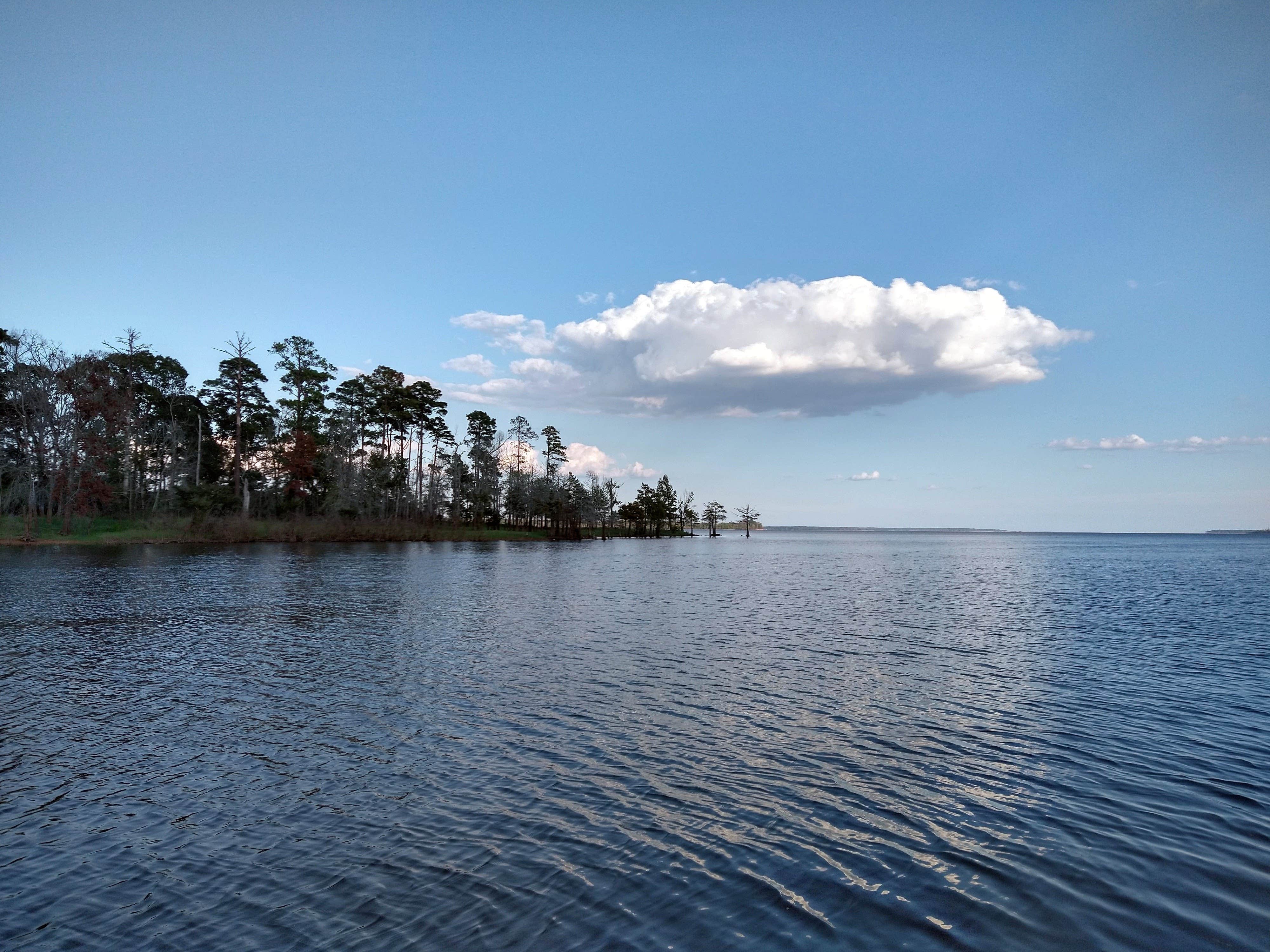 Camper-submitted photo at Hanks Creek near San Augustine, TX