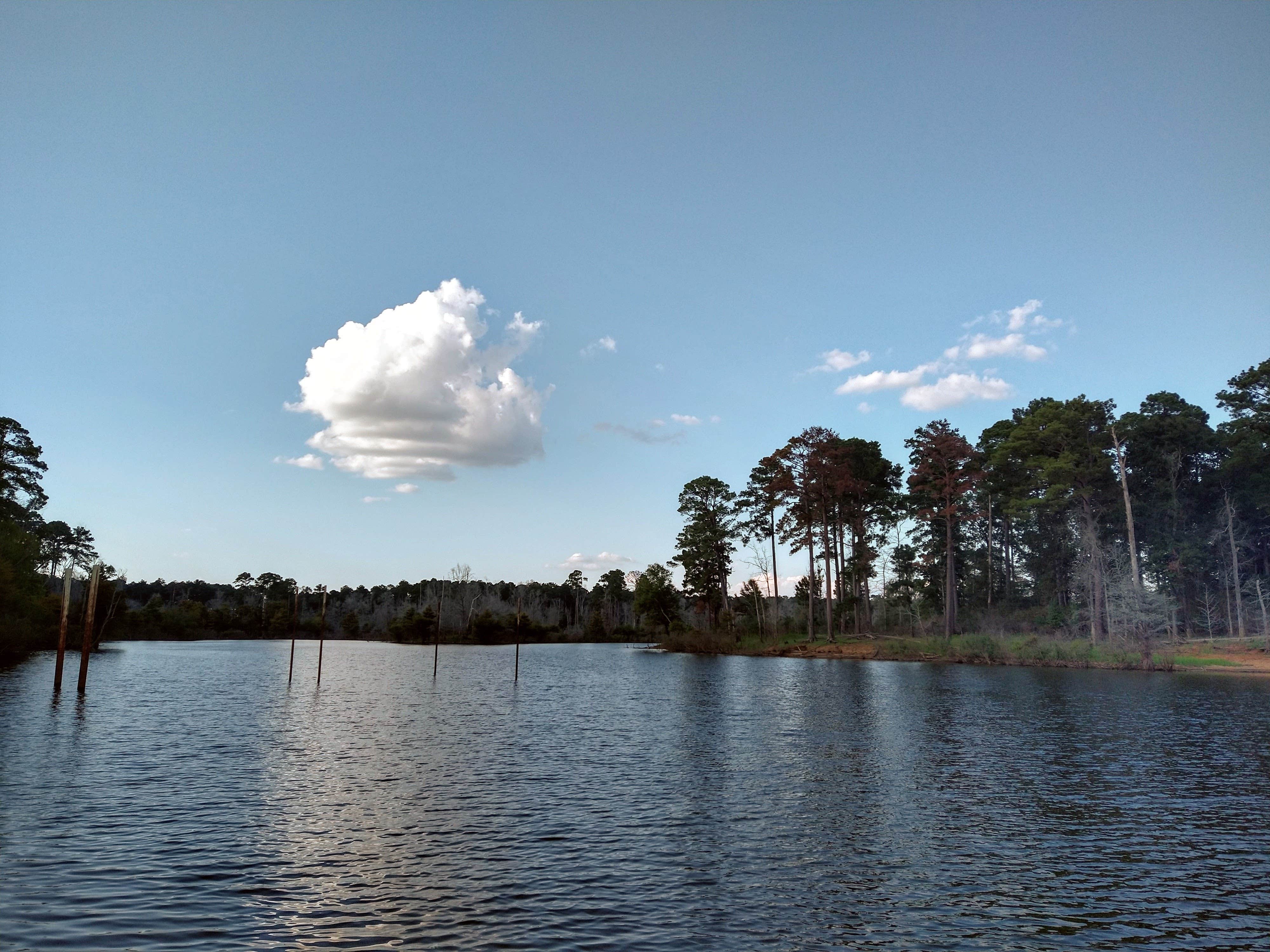 Camper-submitted photo at Hanks Creek near San Augustine, TX