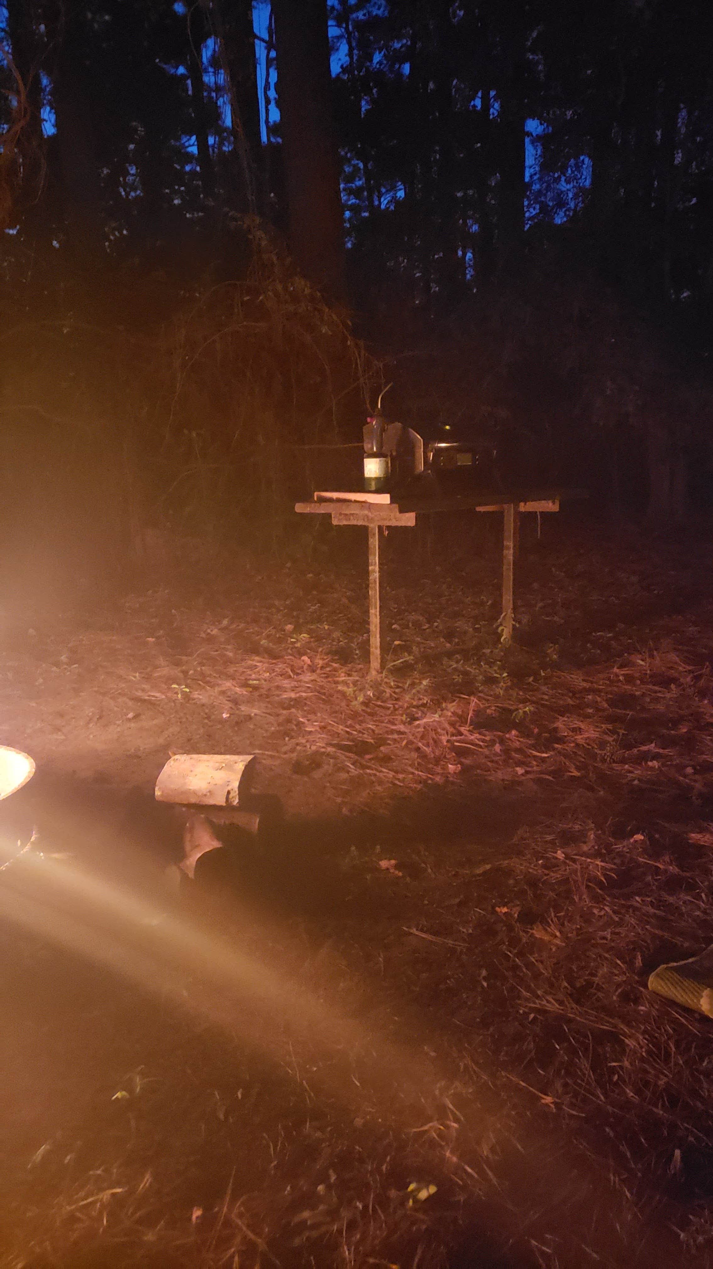 Camper-submitted photo at Hanks Creek near San Augustine, TX