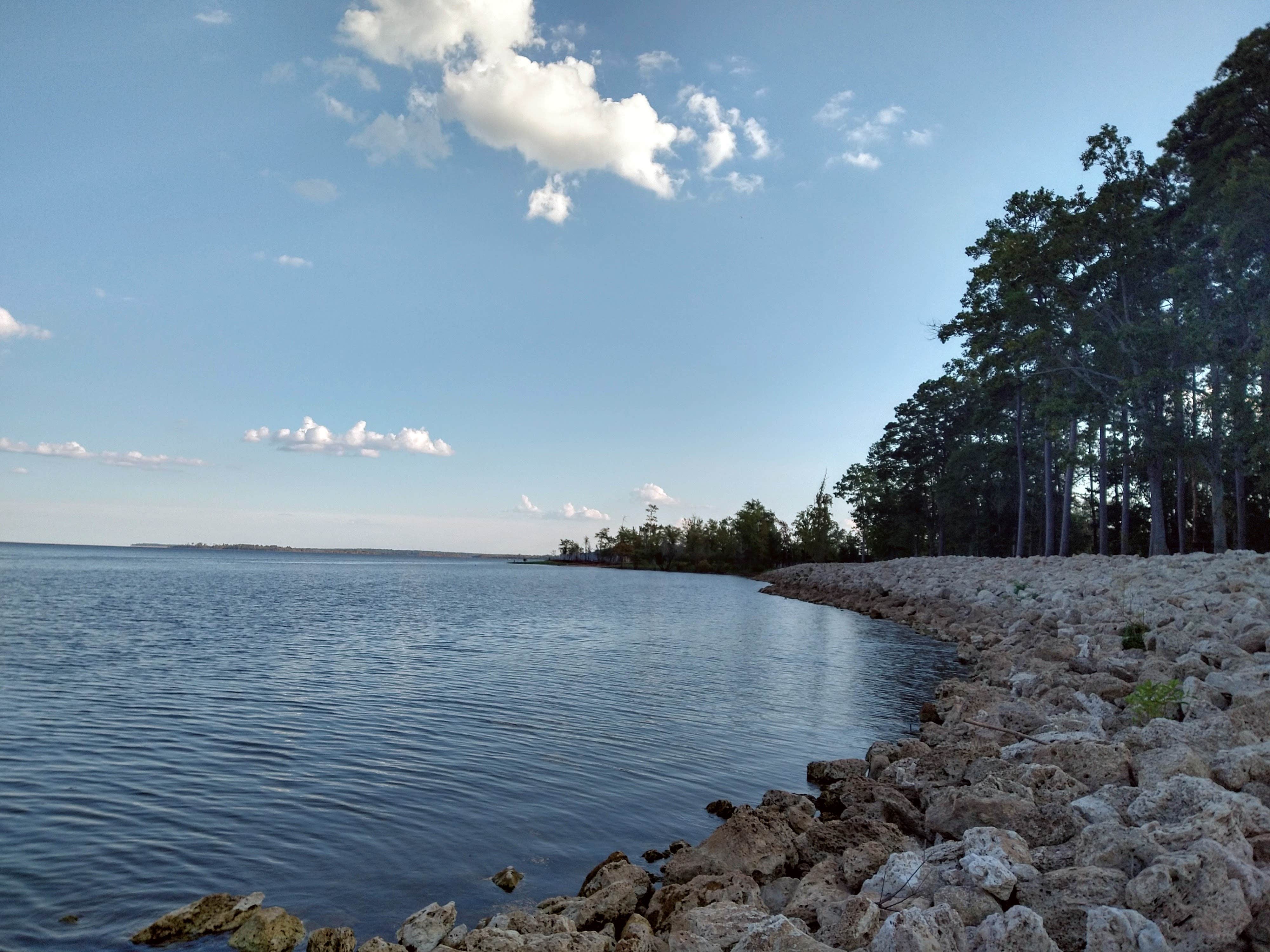 Camper-submitted photo at Hanks Creek near San Augustine, TX