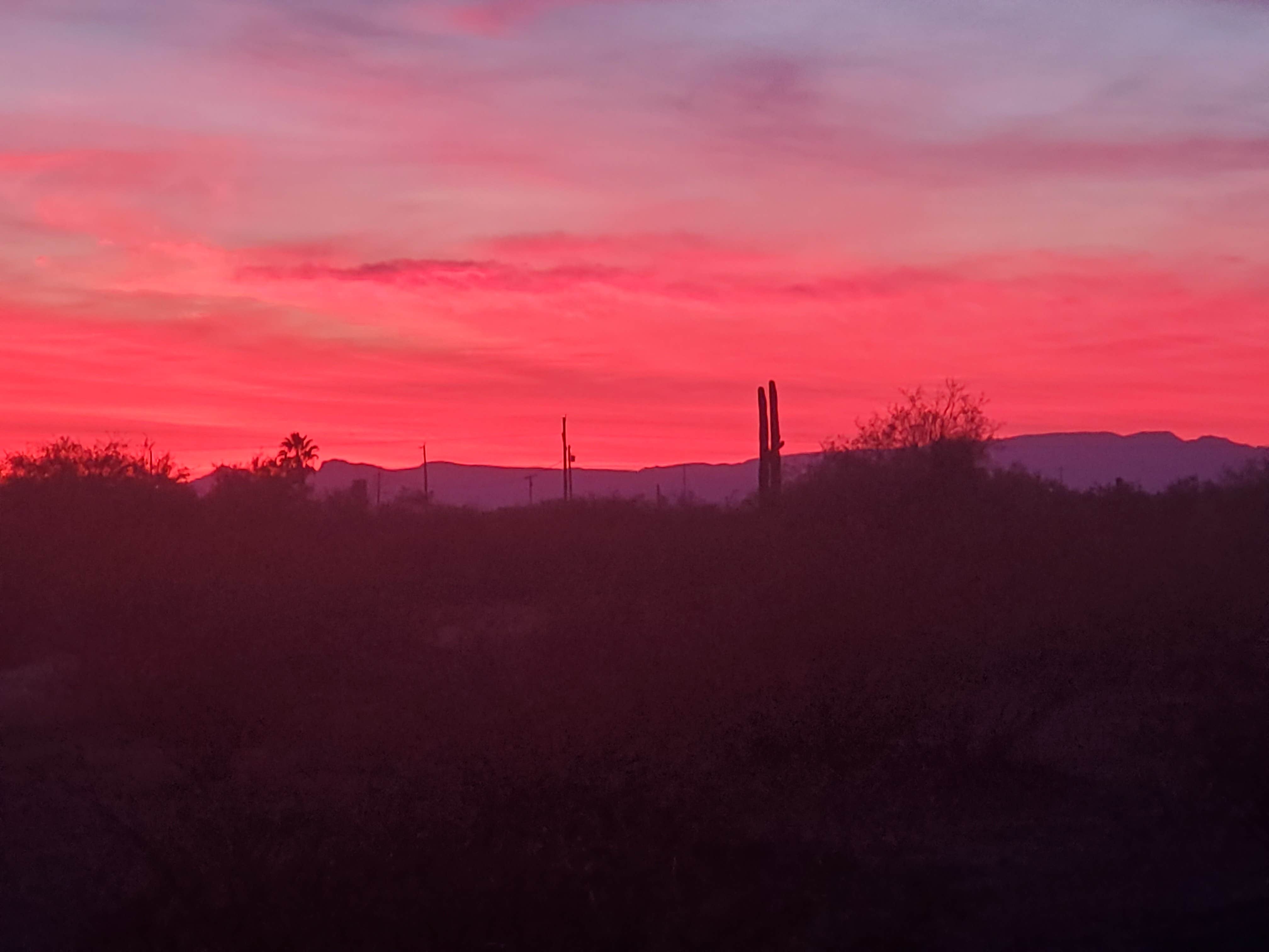 Camper-submitted photo at Coyote Howls East RV Park near Organ Pipe Cactus National Monument