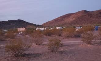 Camping near Twin Peaks Campground — Organ Pipe Cactus National Monument: Coyote Howls East RV Park, Ajo, Arizona