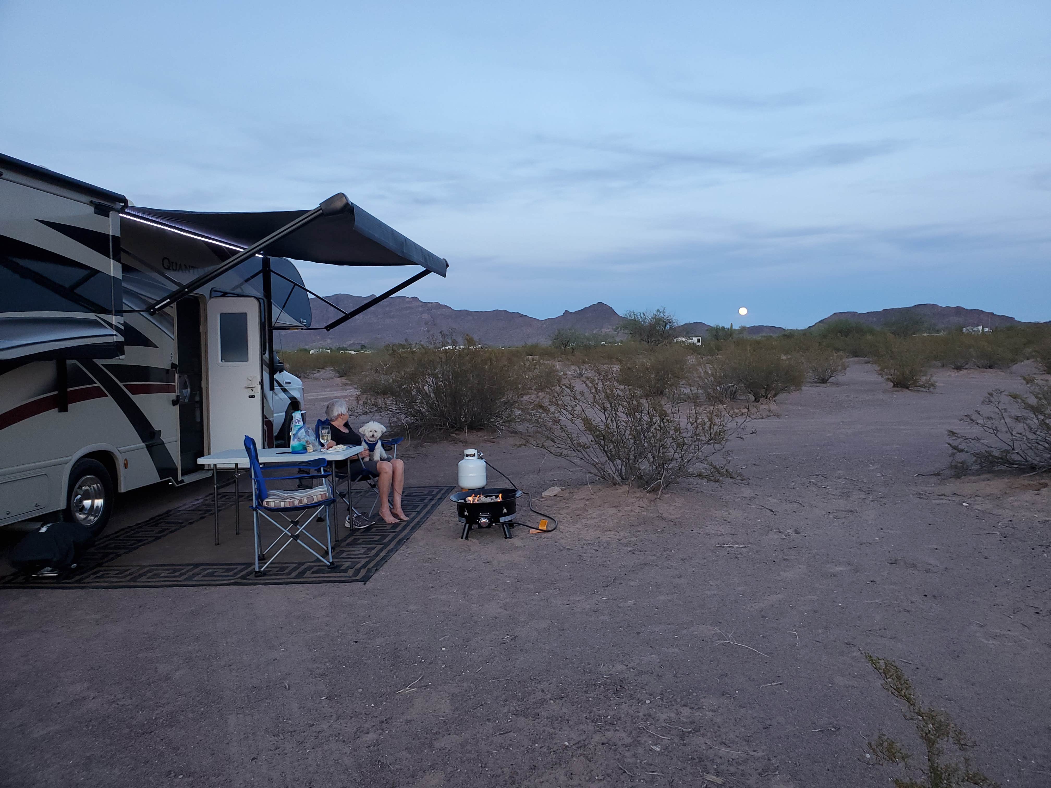 Camper-submitted photo at Coyote Howls East RV Park near Organ Pipe Cactus National Monument