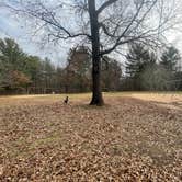 Review photo of Lake Wissota State Park Campground by Dayton  ., November 26, 2021