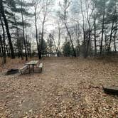 Review photo of Lake Wissota State Park Campground by Dayton  ., November 26, 2021