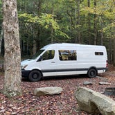 Review photo of Elkmont Campground — Great Smoky Mountains National Park by Mea H., November 26, 2021